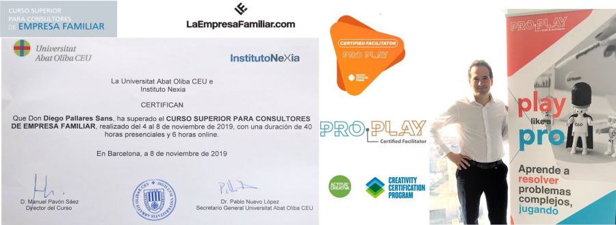 Consultor Empresa Familiar / Facilitador Metodología Pro.Play®